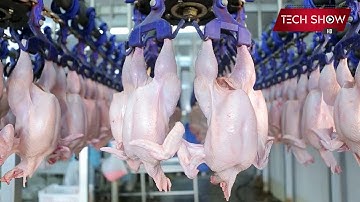 Advanced Food Processing Technology with Automatic Amazing Machines That Are at Next Level 4