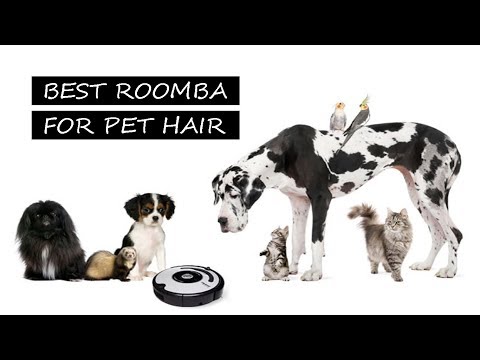 Best Roomba for