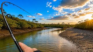 this tiny creek is FULL OF FISH! fishing the shallows, South East Queensland