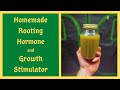 I saved thousands of dollars using this homemade rooting hormone and plant growth stimulator