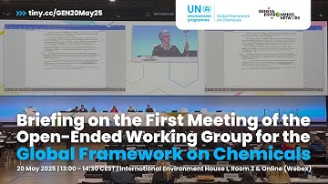 Briefing on the first meeting of the Open-Ended Working Group for the Global Framework on Chemicals