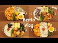 BENTO Vlog | Mayonnaise shrimps / Sweet & sour chicken and more!【A week of husband lunch boxes】