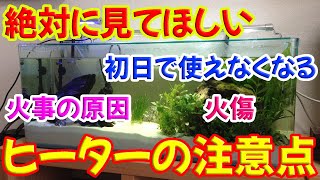 【水槽用ヒーター】これを知らないと大変なことになる！！ヒーターで注意すべき点【アクアリウム】