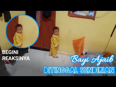 Video: Cara Meninggalkan Anak Anda Sendirian Di Rumah