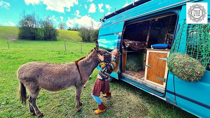 Lotta travels through Europe with her donkey Jonny...