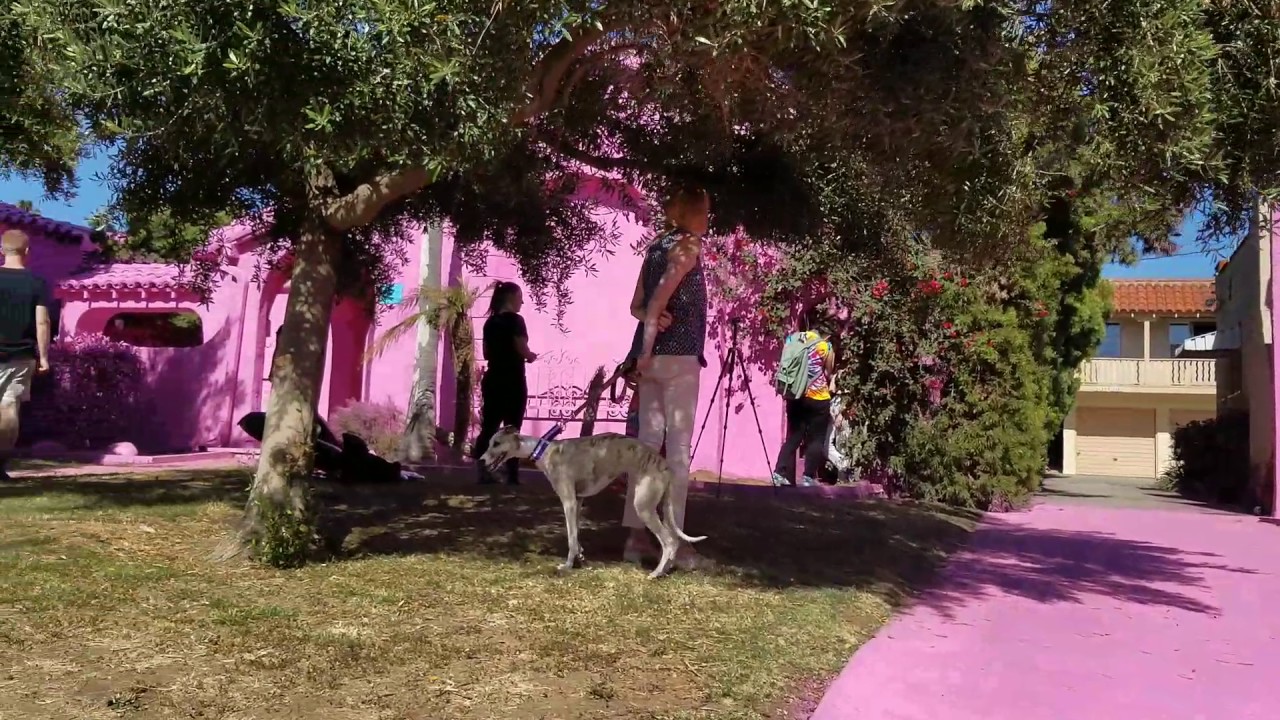 Pink House in Los Angeles by MRad Architects YouTube