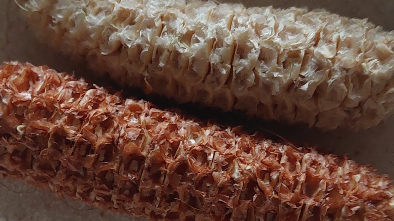 ਘਰੇ ਬਣਾਈਏ ਮੁਰਮਰੇ!home-grown sweet corn!