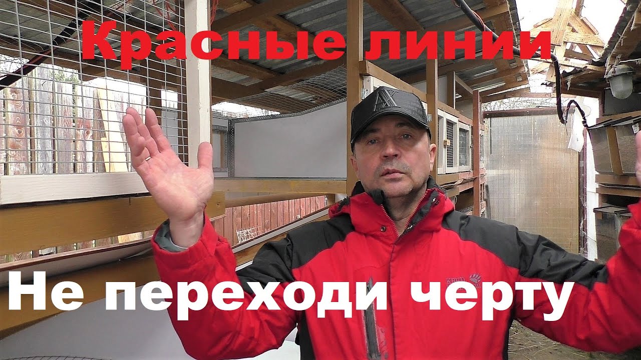 ЗАВОДЯТ КАК КРОЛИКОВ🐰 ЗА КРАСНЫЕ ЛИНИИ🤦‍♂️ Кролики содержание и разведение