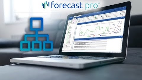 Succeeding with Forecast Pro: Product Hierarchy