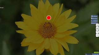 oddloop [oldloop] Pass {EZ} | osu!