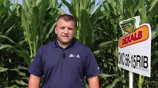 DKC56-15RIB