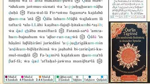 ختمة من مصحف التجويد باللغة الألمانية الصفحة رقم 315