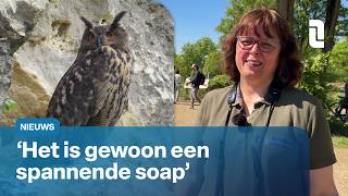 Bigamie In De Enci Limburgse Oehoe Gaat Vreemd L1 Nieuws