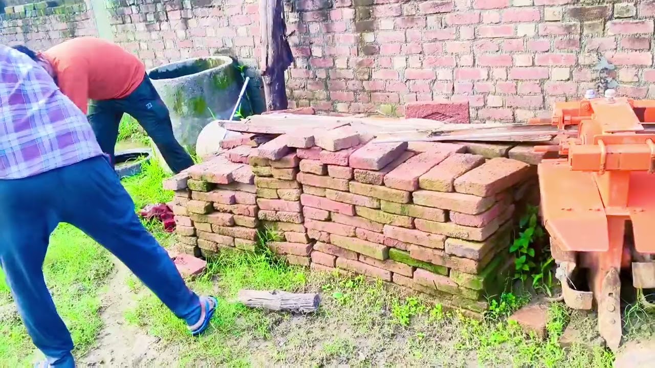 Indian Rat Snake rescue from Jamalpur village