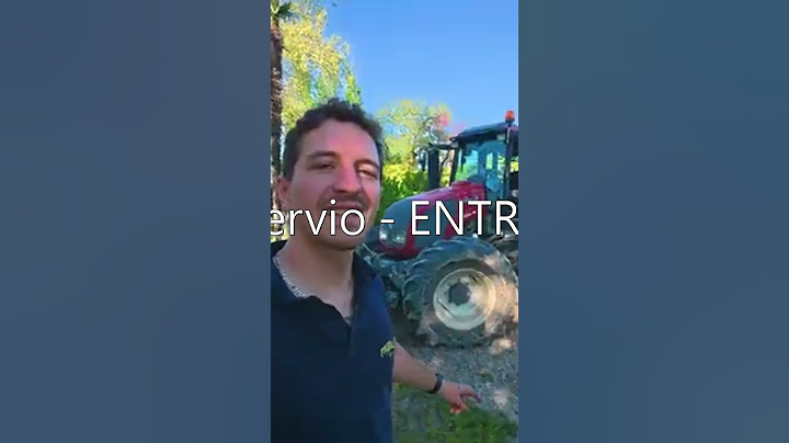 Stervio   ENTRETIEN ! TOURNESOLS ET FONGICIDE !