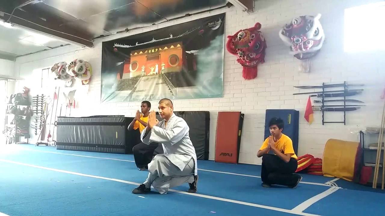 Kung Fu Wushu South Bay Training - Shifu Sal Redner