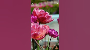 010 CÔNG ĐỨC   PHƯỚC ĐỨC BÍ MẬT TÍCH LŨY MAY MẮN  I BÀI HỌC NHÂN SINH