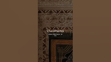 تلاوه ماتيسر من آيات سوره الزمر بصوت القارئ #حمزة_بوديب #قران_كريم #ارح_قلبك #تلاوة_خاشعة #راحة