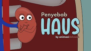 Kenapa Kita Merasakan Haus? | Animasi Edukasi Pendidikan | Animasi Dolewak