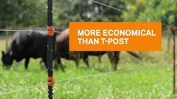 Insulated Line Post Overview