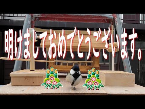 明けましておめでとうございます。Japanese-style bird feeder【DIY