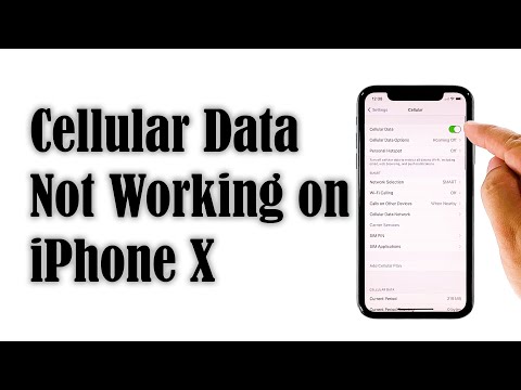 iPhone X Cellular Data Not Working After iOS 14.2