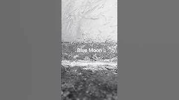 Thumbnail of Blue Moon Ella Fitzgerald #jazz #romantic #nature #ellafitzgerald #music #lyrics #song
