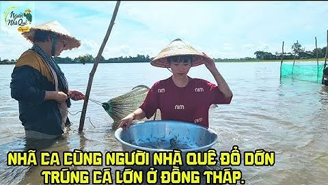 Hooglied en plattelandsbewoners die grote vissen vangen in Dong Thap | COUNTRY PEOPLE.