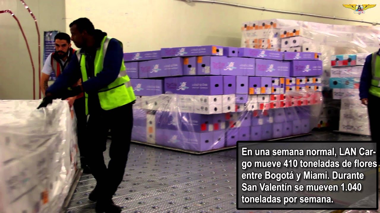 Transporte de flores por vía aérea en San Valentín  - #Aviacolnet