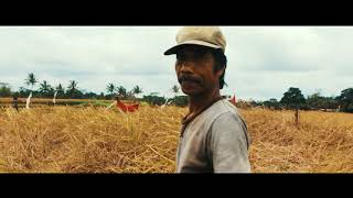 Йога-туры на Бали