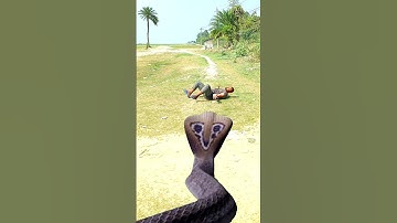 Anaconda snake in real life P81#shorts #short #snake #nagin #python #anaconda #snakes #bigsnake