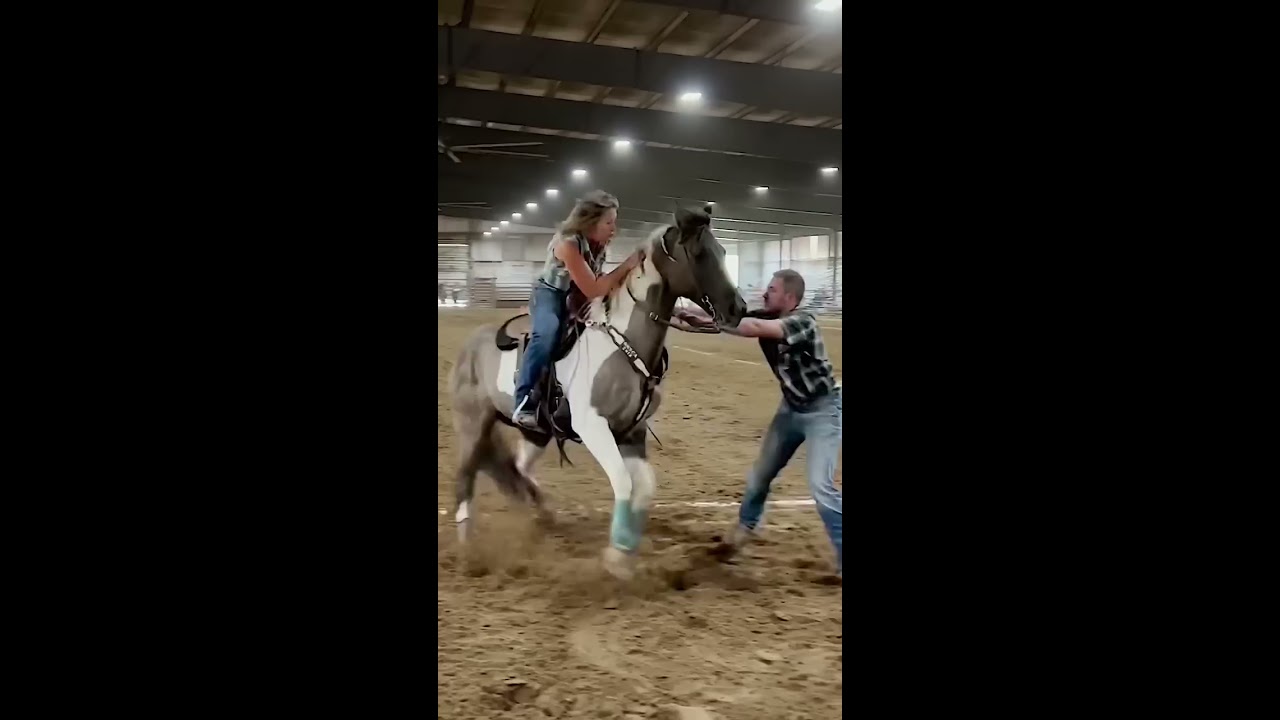  Nsca Omoksee Horse Shorts Fast Westernriding Family Horseshow Western