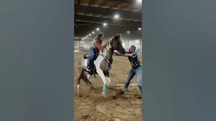 #nsca #omoksee #horse #shorts #fast #westernriding #family #horseshow #western - DayDayNews