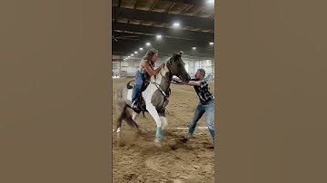 Thumbnail of #nsca #omoksee #horse #shorts #fast #westernriding #family #horseshow #western