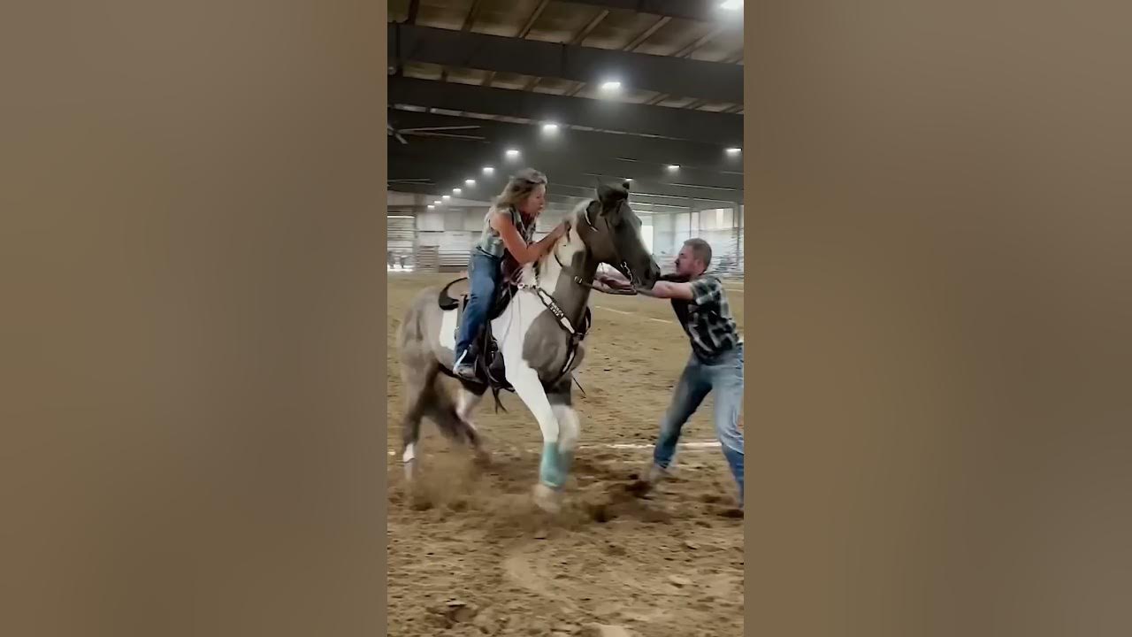 #nsca #omoksee #horse #shorts #fast #westernriding #family #horseshow #western