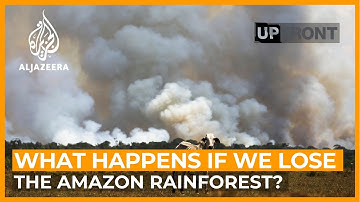 Is the Amazon rainforest at a tipping point? | UpFront