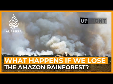 Is the Amazon rainforest at a tipping point? | UpFront