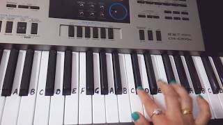 Chupke chupke raat din on Keyboard Piano| Gulam Ali |Keyboard Cover|Harmonium chords