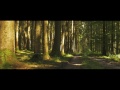 "Wildlands" a GH4 Cinematic + DJI Ronin