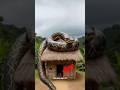 India's Most Poisonous Snake 🐍💀#ytshorts #shorts #snake