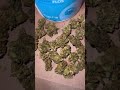 Adven OG Kush Flower Linked Video Adven OG Kush Flower Linked Video
