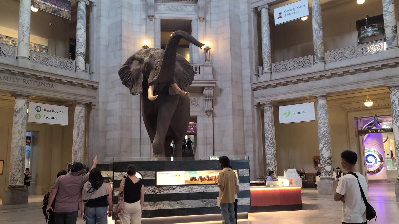 [4K] Washington, D.C. VLOG #04 - Smithsonian National Museum of Natural History. 09/11/2025.