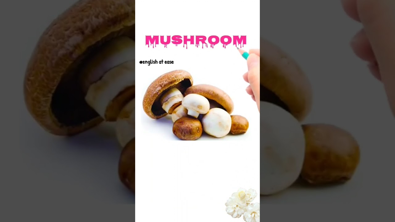 mushroom meaning in hindi|mushroom ka hindi kya matlab hta h|daily use english words in hindi|