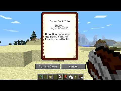 Minecraft 1.3 Week 17 Snapshot (12w17a) Writeable Books!