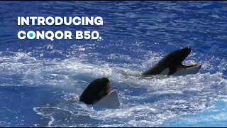 CONQOR B50 - The Sustainable Admixture For Concrete Waterproofing