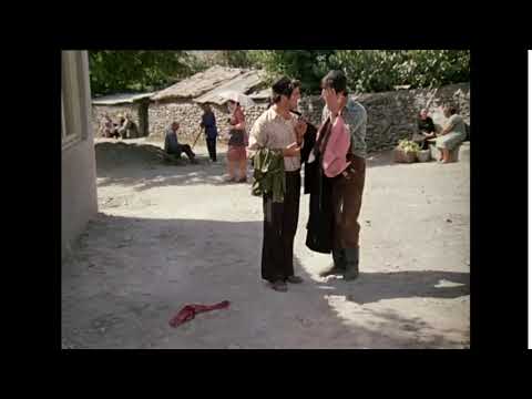 აიღე ბიჭო გალსტუხია