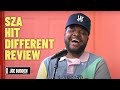 SZA - 'Hit Different' feat. Ty Dolla Sign Review | The Joe Budden Podcast