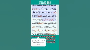 سورة فصلت فارس عباد الاية 22