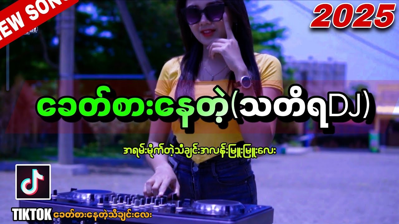 TikTok မှာခေတ်စားနေတဲ့ သတိရ DJသီချင်းမြူးမြူးလေး (Remix LIMIDO)