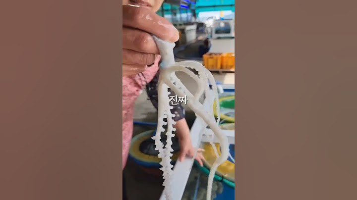 무안뻘낙지 | 낙지는 무안낙지가 최고입니다 | 무안갯벌낙지직판장5호
